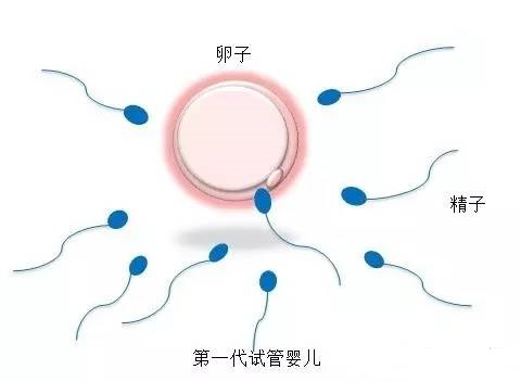 实验室1